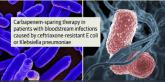 Piperacillin-tazobactam fails to outperform meropenem in bloodstream infections