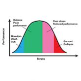 Strategies for maintaining resilience to the burnout threat