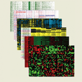 2017 Update on cervical disease