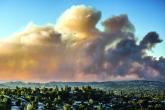 Wildfire smoke has acute cardiorespiratory impact, but long-term effects still under study