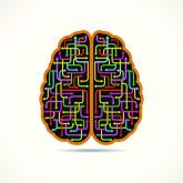 Machine learning beats clinical prediction of temporal lobe epilepsy surgery outcomes