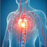 Dabigatran vs Warfarin Before Cardioversion of Atrial Arrhythmias