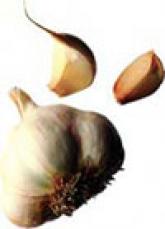 The Herbal Hospitalist