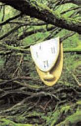 History of a Vitamin