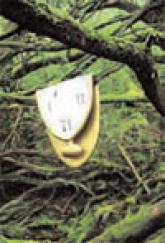 The First Catheterization