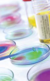 What Is the Appropriate Evaluation and Treatment of Funguria?