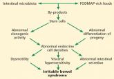 Diet in the pathophysiology and management of irritable bowel syndrome