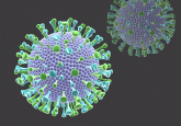 Enterovirus D68: A clinically important respiratory enterovirus