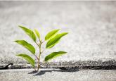 The emotional impact of a malpractice suit on physicians: Maintaining resilience