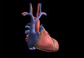 Sacubitril-valsartan and the evolution of heart failure care