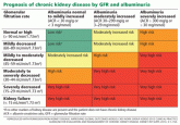 Albuminuria: When urine predicts kidney and cardiovascular disease
