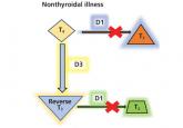 A 66-year-old man with abnormal thyroid function tests