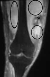 A Sheep in Wolf's Clothing