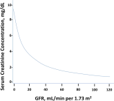 Acute Kidney Injury for Hospitalists