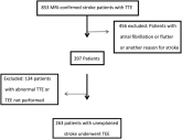 TEE Impact on Managing Stroke Patients