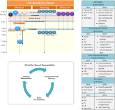 Regionalized Care and Adverse Events