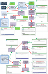 Improving VTE Prevention