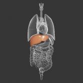 Don’t forget liver disease often has mental health component