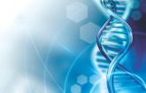 DNA methylation rises sharply at progression of Ph+ CML