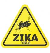 Study links microcephaly to first trimester Zika infection