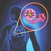 COPD patient characteristics predict response to maintenance drug