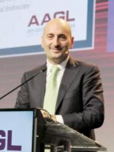 Intrauterine palpator plus 3-D ultrasound boost metroplasty success