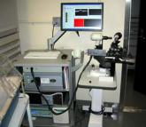 Phenytoin trial in optic neuritis hints at neuroprotection