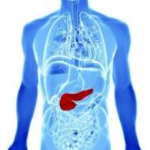 Artificial pancreas improved glycemia after islet cell transplant