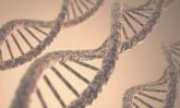 Genetic testing enters cardiovascular-disease mainstream