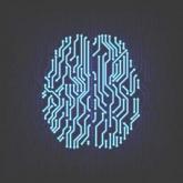 Studies suggest moving SNAP outside of Alzheimer’s framework