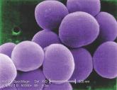 MRSA incidence decreased in children as clindamycin resistance increased