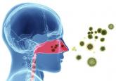 Guideline clarifies first-line treatment for allergic rhinitis