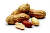 The promise of peanut allergy prevention lies in draft guidelines