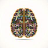 Cortical volume linked to IQ changes in schizophrenia