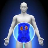 Patiromer cuts high potassium in CKD