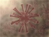 Birth-cohort HCV testing misses one-quarter of infections