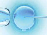 More IVF cycles increase chances of a live birth