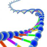 No racial disparity in appropriate use of Oncotype DX