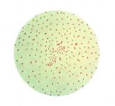 Incidences of underimmunization, vaccine refusal are clustered geographically