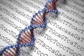 Study linked three genetic risk variants to alcohol-related cirrhosis