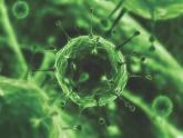 Novel HCV therapies found cost effective, with caveats
