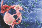 HIV-1C predicts virologic failure, especially with ritonavir-boosted PIs