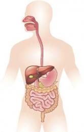 Gastrointestinal and liver diseases remain substantial public health burden