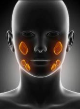 Several genetic variants linked to salivary gland cancer risk
