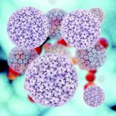 Incidence of HPV-associated Cancers on the Rise