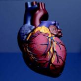 Model estimates risk of pneumonia after CABG