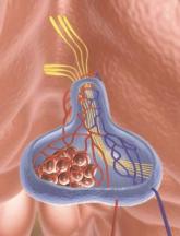 Copeptin levels predicted diabetes insipidus after pituitary surgery