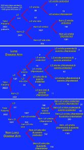 NICU‐Based Influenza Vaccine