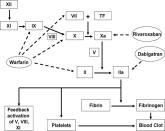 Dabigatran Etexilate
