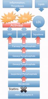 Statin Withdrawal After Major Surgery